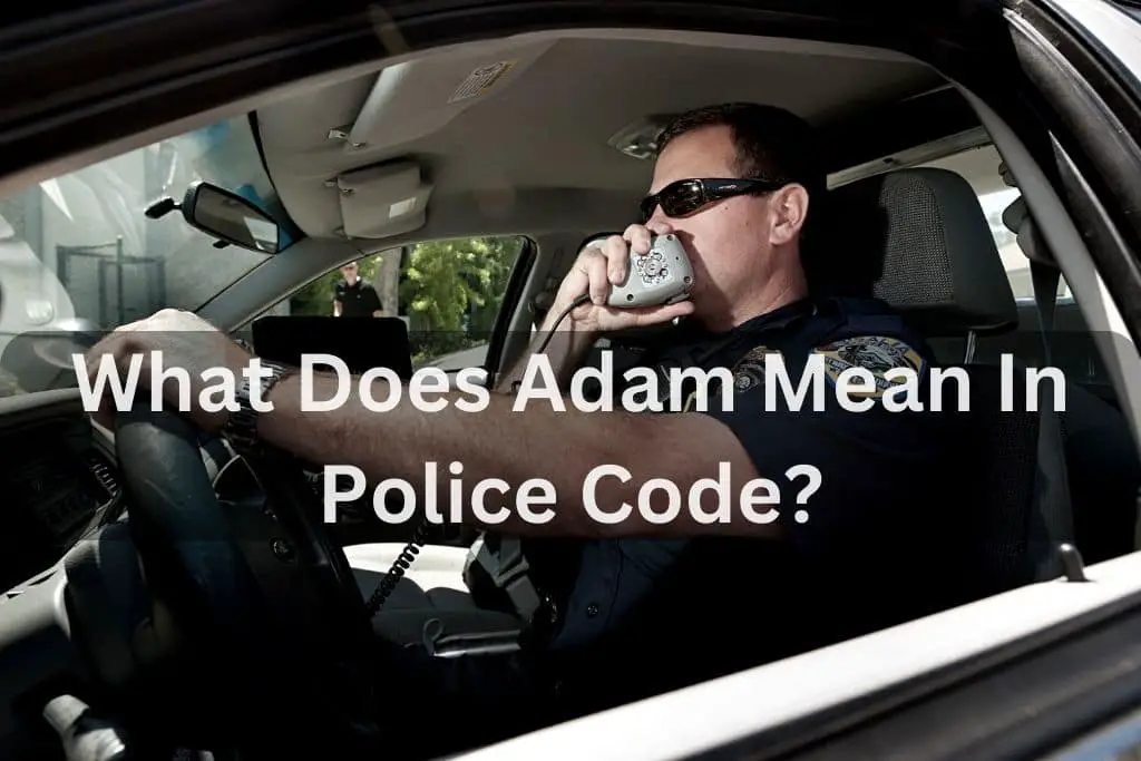 What Does Adam Mean In Police Code